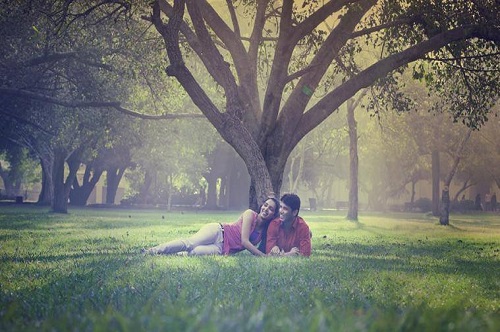 picture